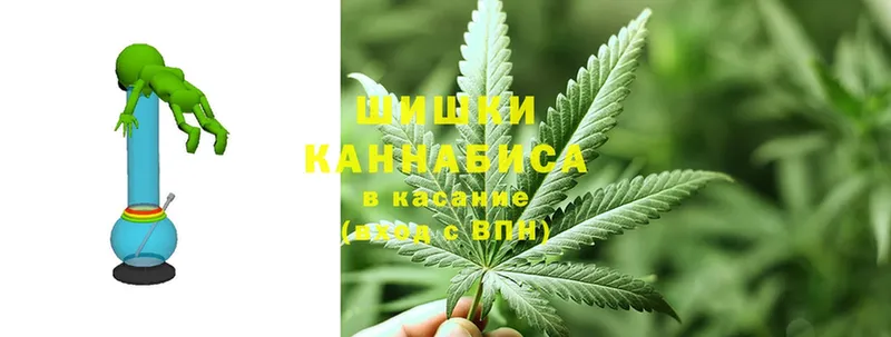 продажа наркотиков  Зеленокумск  MEGA вход  МАРИХУАНА Amnesia 